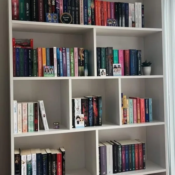 مكتبة زان طبيعي