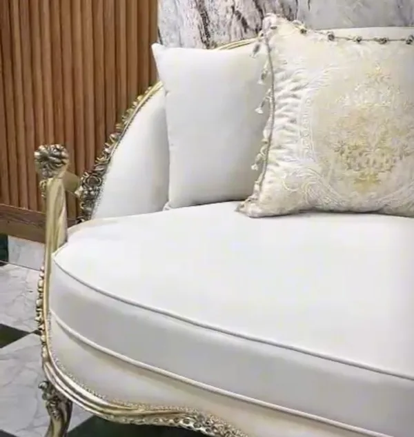 صالونات فخمة