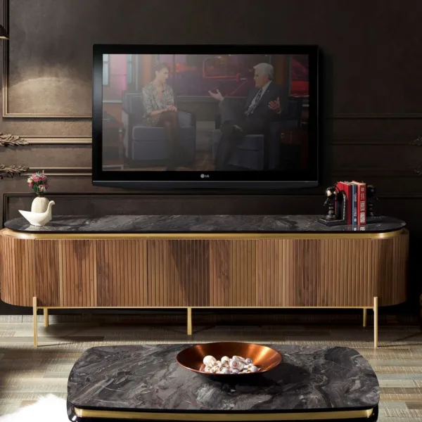 تيسلا وحدة تلفزيون فخمة