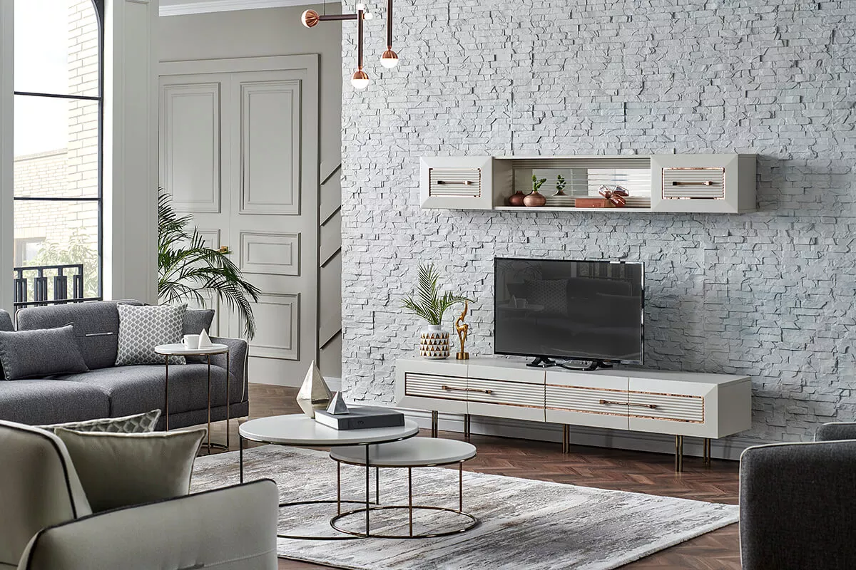 شاين الأنيقة وحدة تلفزيون 2 شاين الأنيقة وحدة تلفزيون - الصورة 2